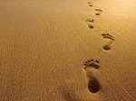 footprints in sand