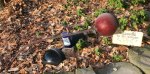 Rake Leaves &&nbsp;Bowling