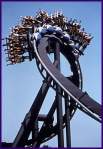 Roller Coaster