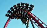 x flight